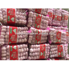 Ail blanc pur 5P * 16 / 5P * 12 sac en filet Chine Jinxiang ail frais